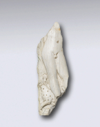 Fragment de relief : partie inférieure du corps de Dionysos avec panthère sur le coté droit