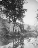 Beaulieu. Bords de la Dordogne