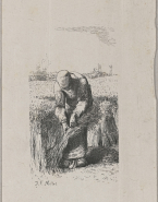 Femme liant des bottes de blé