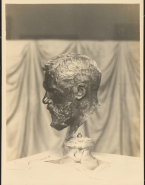 Buste de Gustave Geffroy (bronze)