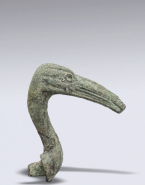 Tête d'ibis