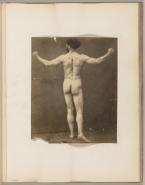 Modèle masculin nu de dos (album Rodin 2)