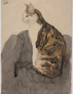 Chat tigré, assis de profil: Edgar Quinet
