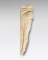 Fragment de relief : jambe et ventre de néréïde