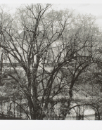 Jardin de l'hôtel Biron vu depuis les toitures du Lycée Victor Duruy