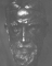 La Tête de George Bernard Shaw (bronze)