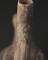 Vase aviforme à anse goulot en forme d'étrier