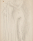 Femme nue debout, de face, tenant une draperie sur le bras droit
