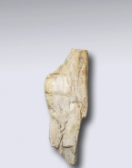 Fragment de relief : Dionysos ?