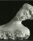 Marie Fenaille, buste, la tête penchée sur l'épaule gauche