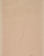 Femme nue de dos, aux cheveux dénoués