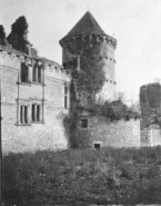Ruines du château d'Assier