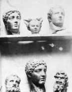 Six têtes sculptées sur deux étagères