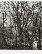 Jardin de l'hôtel Biron vu depuis les toitures du Lycée Victor Duruy