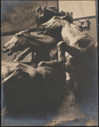 The Mares of Diomedes par Gutzon Borglum (bronze)