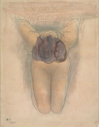 Femme nue agenouillée, de face, penchée en avant et les mains derrière le dos