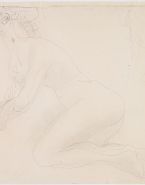 Femme nue à quatre pattes vers la gauche