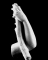 Fragment de statue : Bras et main gauche tenant une branche